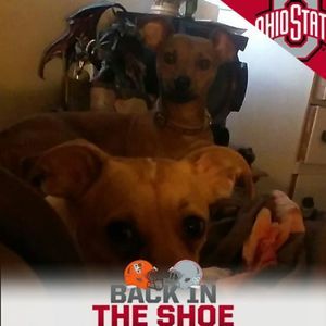 Meet your Posher, Danny